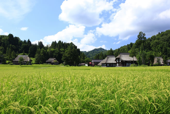 新潟県は神社数全国一でも葬儀は仏式|僧侶の読経中におにぎりを食べる佐渡地方
