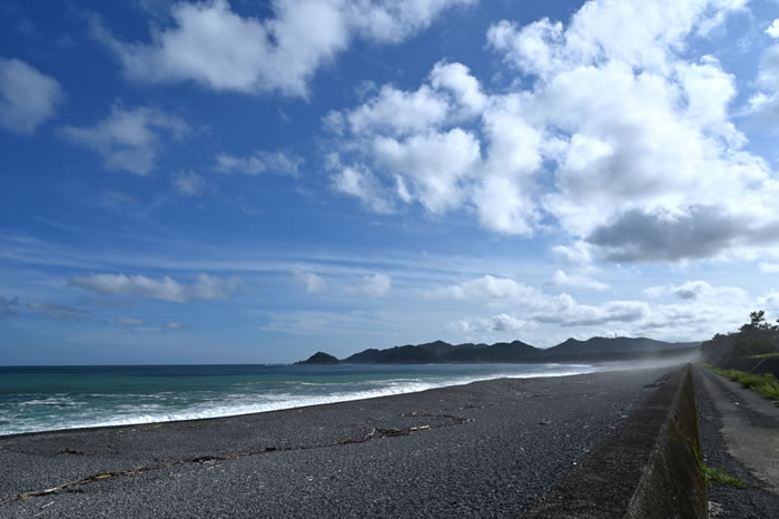 高知県の「おきゃく文化」は葬儀でも|神式が多い葬儀と民間信仰のいざなぎ流