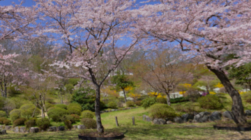 富士桜自然墓地公園 静岡県富士宮市 1980年に創価学会が造設 開園した民営の芝生型公園墓地 葬儀のデスク