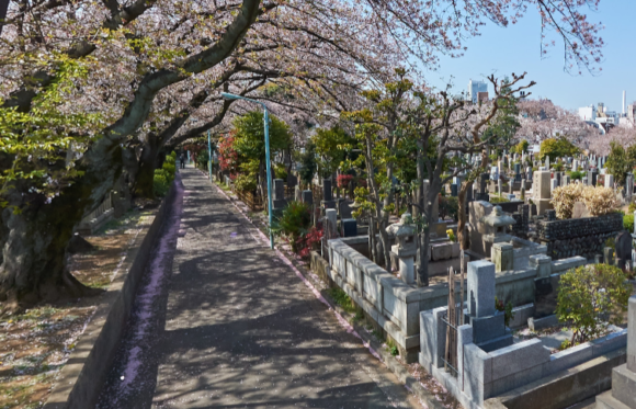 「染井霊園」 東京都豊島区｜多くの著名人が眠る墓地としても有名な都立霊園